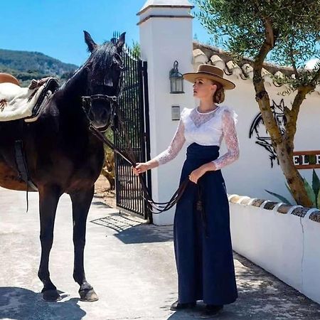 Pasa Fina, Luxury Holiday Retreat Villanueva del Trabuco Kültér fotó