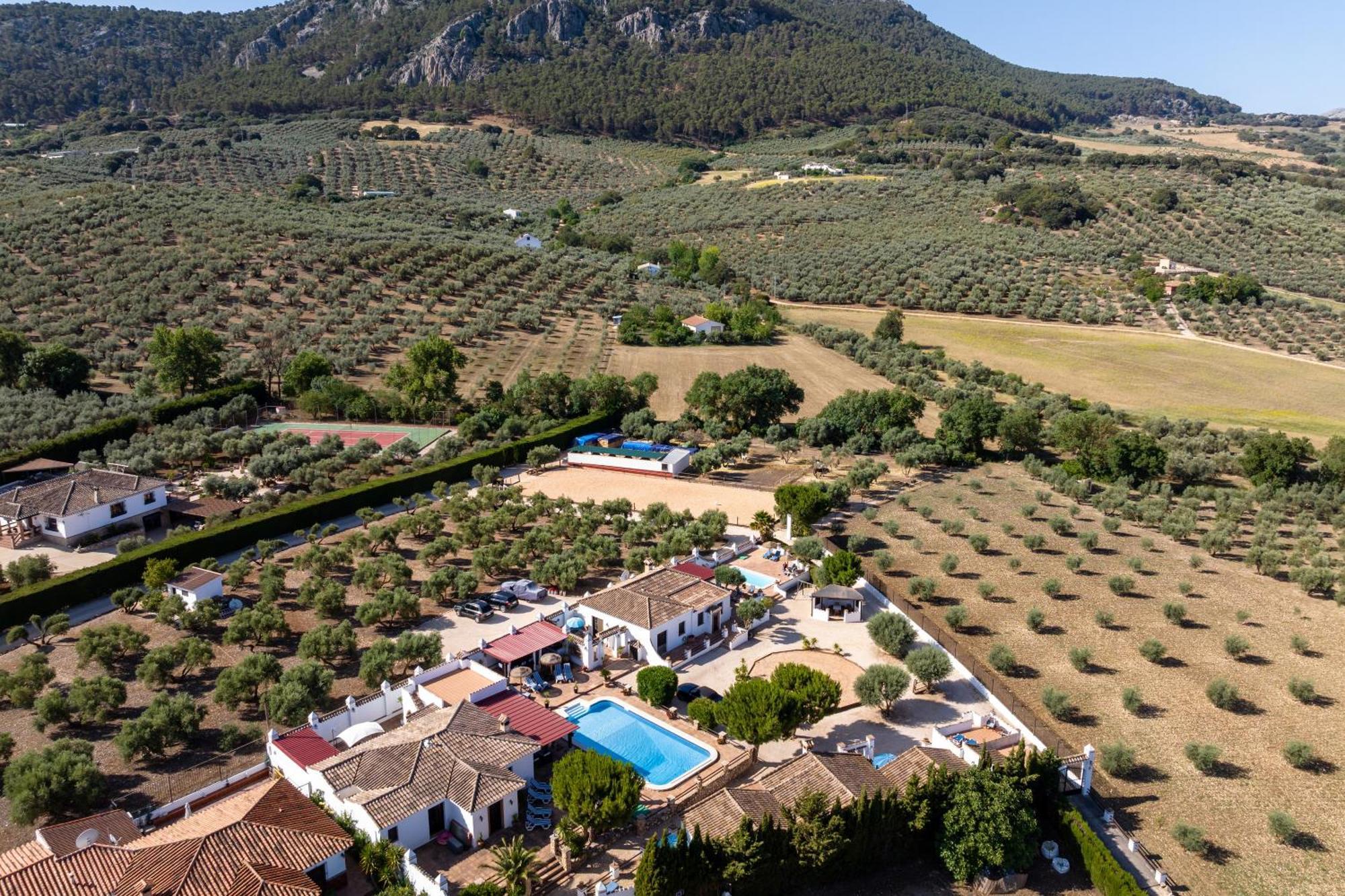 Pasa Fina, Luxury Holiday Retreat Villanueva del Trabuco Kültér fotó